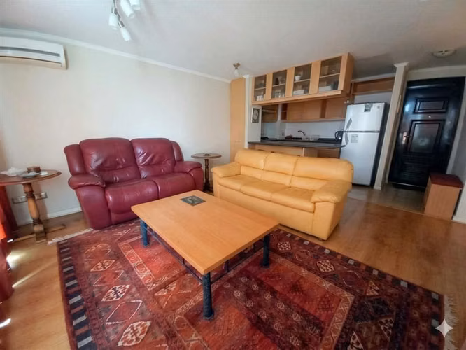 Depto ARRIENDO AÑO CORRIDO AMOBLADO 1dor1baño+E+B