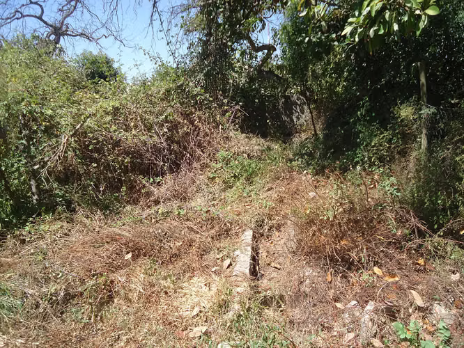 OPORTUNIDAD ÚNICA: 1.6 Ha en Boco con IFC  (177608)