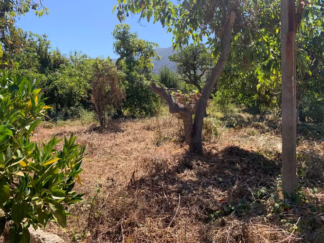 OPORTUNIDAD ÚNICA: 1.6 Ha en Boco con IFC  (177608)