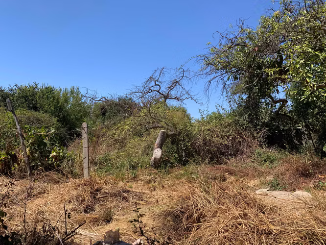 OPORTUNIDAD ÚNICA: 1.6 Ha en Boco con IFC  (177608)