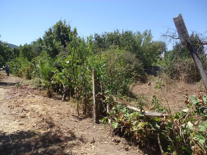 OPORTUNIDAD ÚNICA: 1.6 Ha en Boco con IFC  (177608)