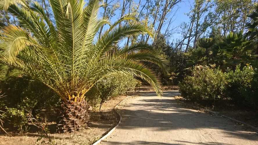 ARRIENDO PAINE PARCELA CASA PARQUE PISCINA LOMAS DEL AGUILA CHAMPA