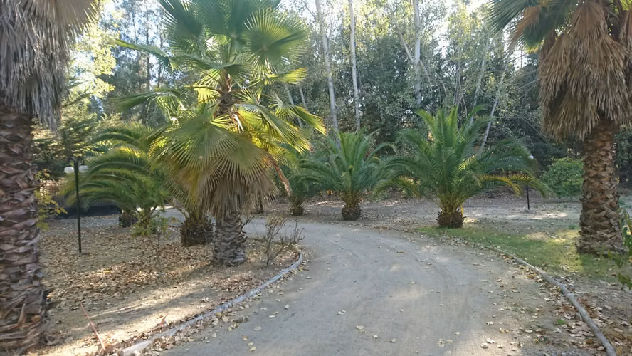 ARRIENDO PAINE PARCELA CASA PARQUE PISCINA LOMAS DEL AGUILA CHAMPA
