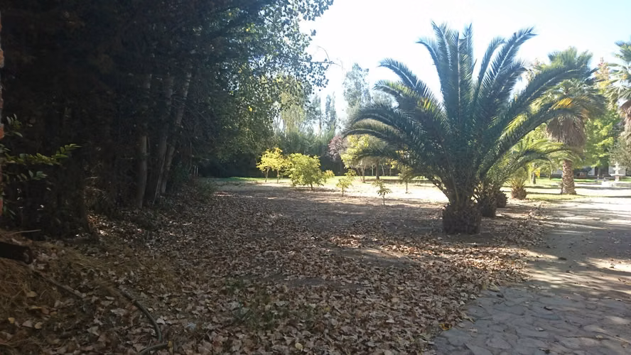 ARRIENDO PAINE PARCELA CASA PARQUE PISCINA LOMAS DEL AGUILA CHAMPA