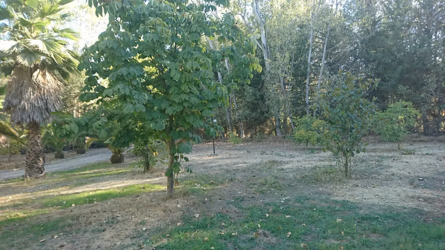 ARRIENDO PAINE PARCELA CASA PARQUE PISCINA LOMAS DEL AGUILA CHAMPA