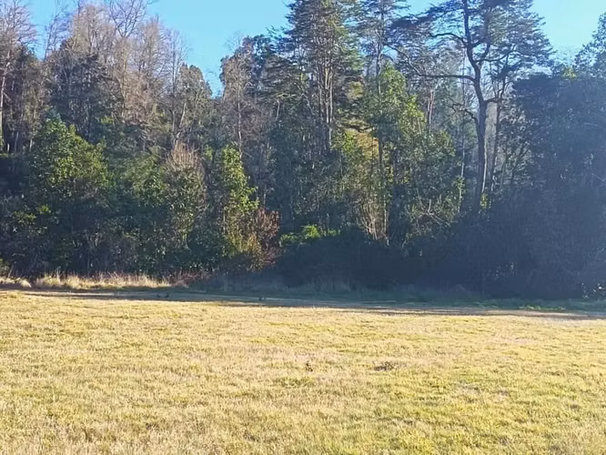 Venta de Parcelas Planas con Orilla de Río y Vista al Volcán – Melefquén, Panguipulli