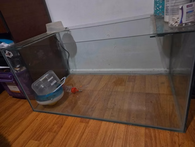 PECERAS
