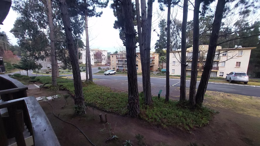 PRIMER PISO CONDOMINIO ALTO LAS CRUCES REBAJADO
