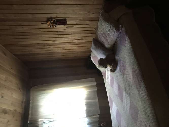 VENDO PARCELA CON CASA EN CHACAYAL SUR, LOS ANGELES - Imagen 5