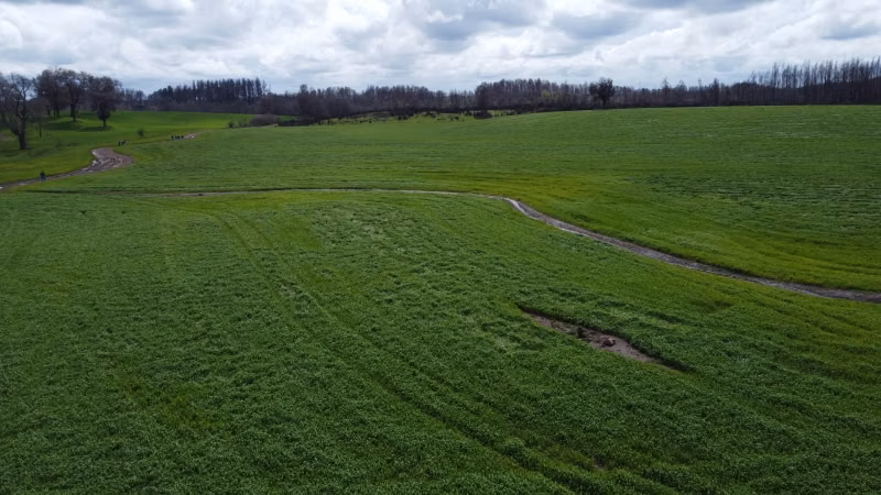 Vendo campo 106 has Mulchen sector Sta Teresa, a 16km
