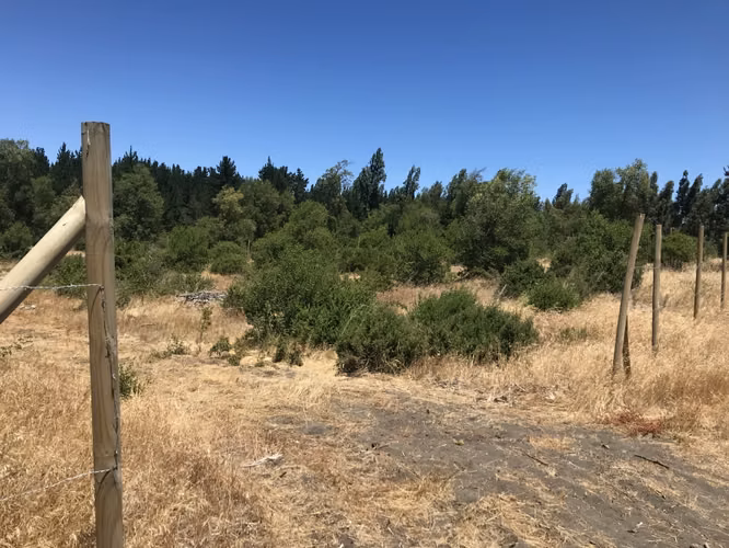 Parcelas Agrícolas Camino María Dolores, sector LAS CIENAGAS