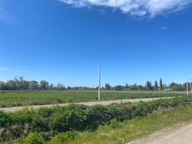 VENDO PARCELAS AGRICOLAS SECTOR COYANCO