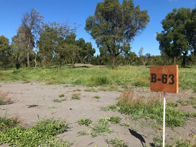 VENDO PARCELAS AGRICOLAS EN CABRERO