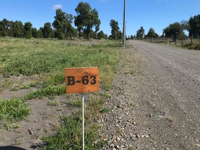 VENDO PARCELAS AGRICOLAS EN CABRERO