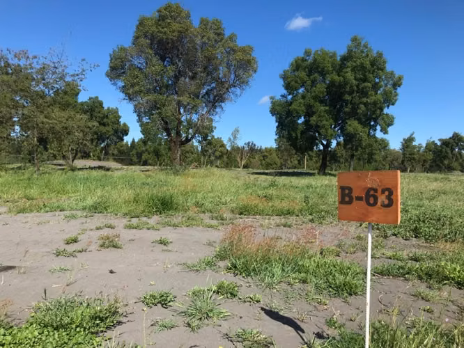 VENDO PARCELAS AGRICOLAS EN CABRERO