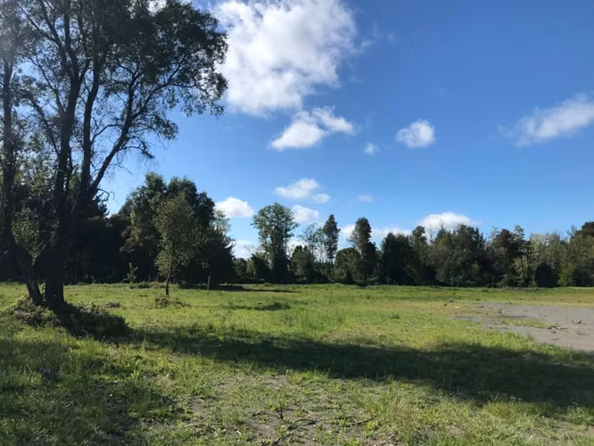 VENDO PARCELAS AGRICOLAS EN CABRERO