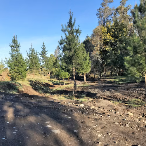 PARCELAS AGRICOLAS,  DESDE UF510, Los Angeles