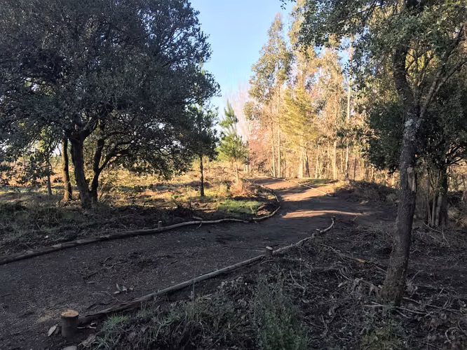 PARCELAS AGRICOLAS,  DESDE UF510, Los Angeles