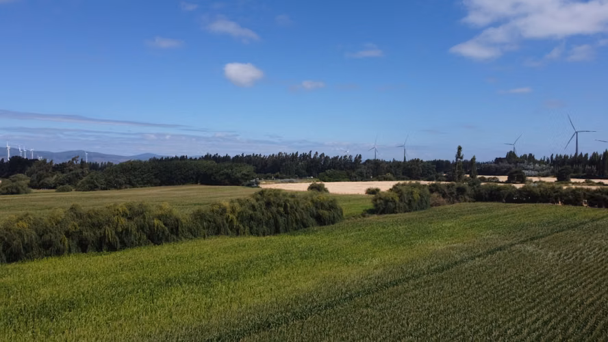 Vendo campo de 29.2Has en Renaico