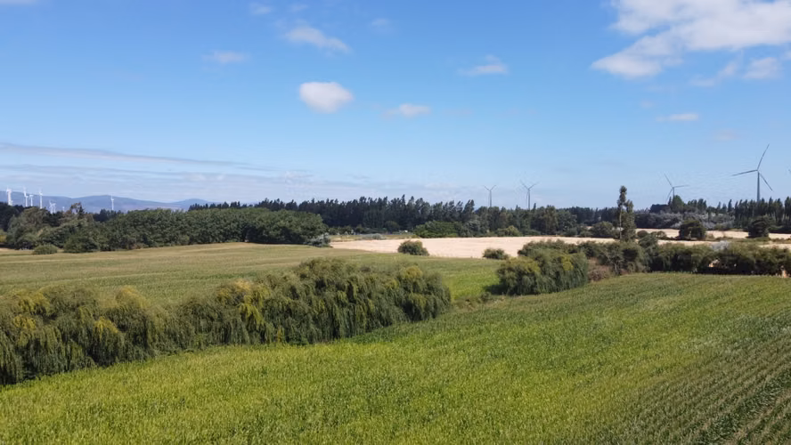 Vendo campo de 29.2Has en Renaico