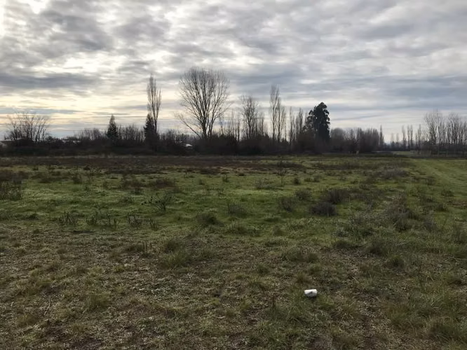 LOTEO SAN AGUSTÍN  VENDO PARCELAS CAMINO AL PERAL KM 7,5