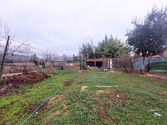 Parcela 5.000m2 con casa 3D/2B regularizada (177631)