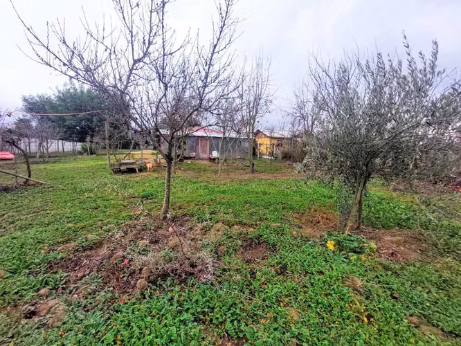 Parcela 5.000m2 con casa 3D/2B regularizada (177631)