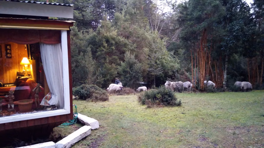 Isla Lemuy Chiloé; Terreno de 0,74 He Con Cabaña, Bosque Nativo, Bosque De Arrayanes Y Riachuelo