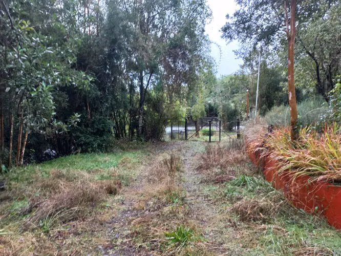 Isla Lemuy Chiloé; Terreno de 0,74 He Con Cabaña, Bosque Nativo, Bosque De Arrayanes Y Riachuelo