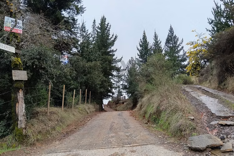 Tu refugio en el campo: casa con entorno natural