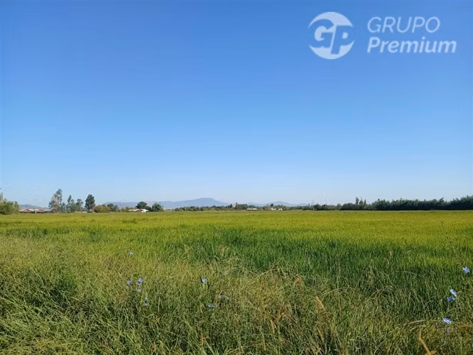 Agrícola en venta en Longaví