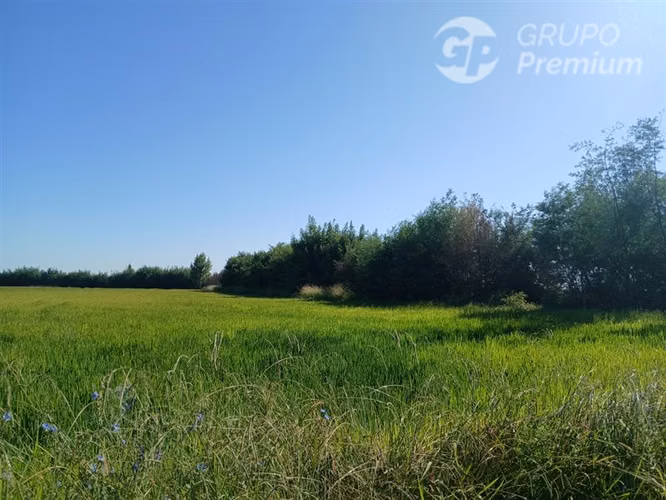 Agrícola en venta en Longaví