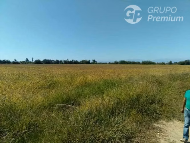 Agrícola en venta en Longaví