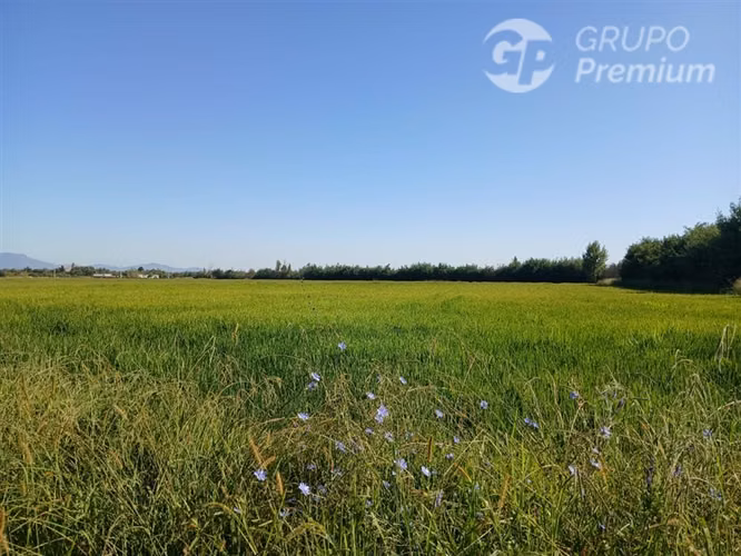 Agrícola en venta en Longaví
