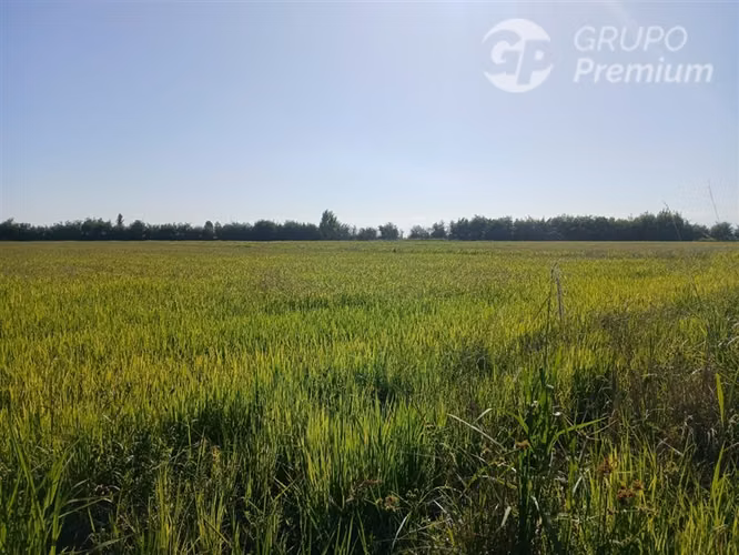 Agrícola en venta en Longaví