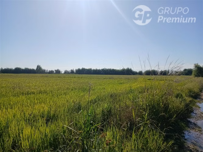 Agrícola en venta en Longaví