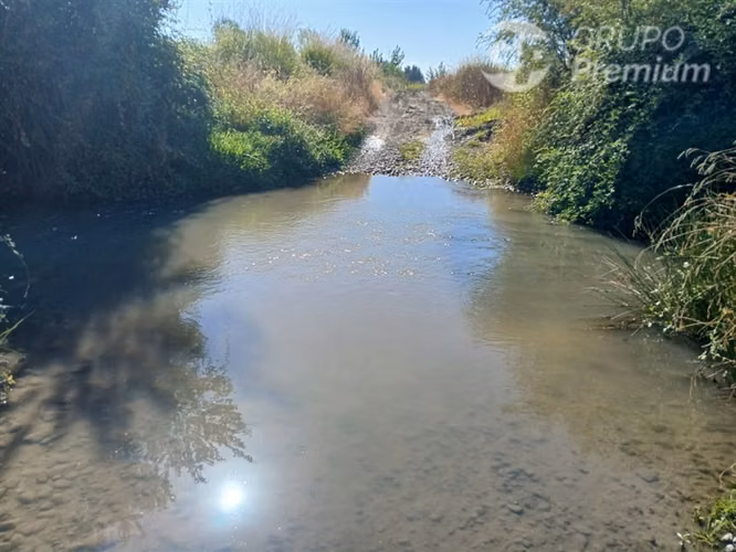 Agrícola en venta en Longaví