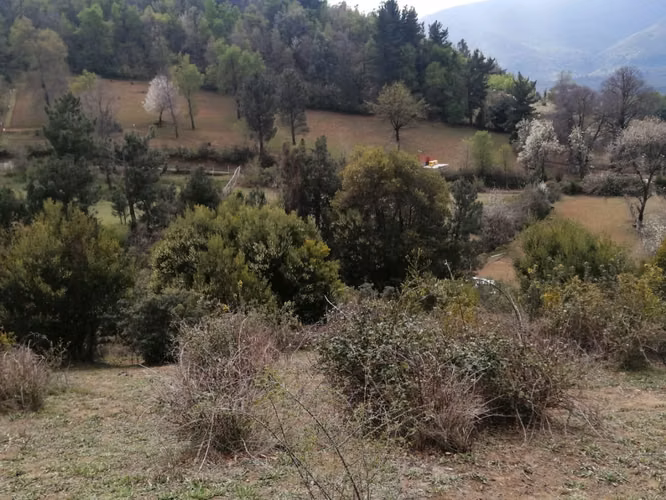 SE VENDE PARCELA ANTUCO