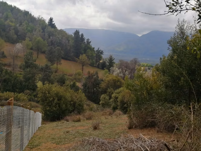 SE VENDE PARCELA ANTUCO