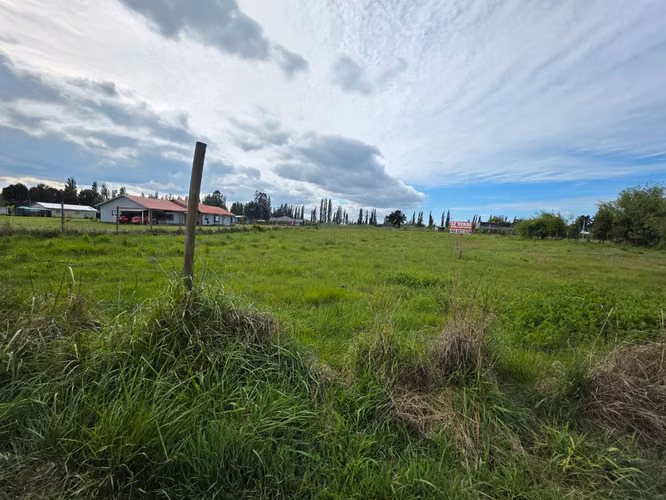 Se vende parcela de 5000 mt2 Sector El Peral, Los Ángeles.