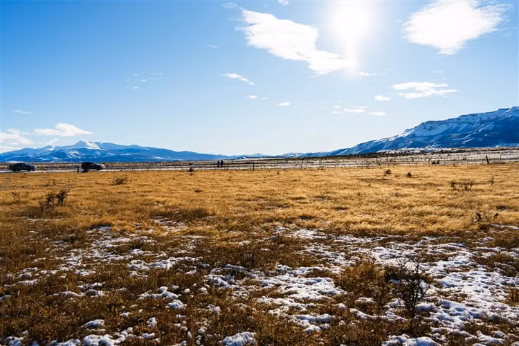 Sitio en venta 6600 m2 camino 4 en Natales