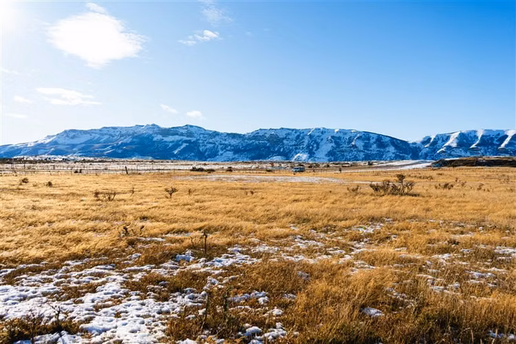 Sitio en venta 6600 m2 camino 4 en Natales
