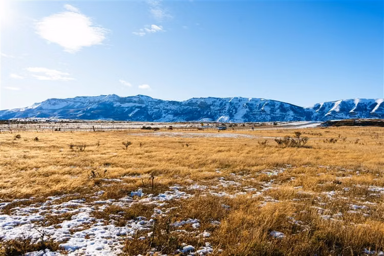 Sitio en venta 6600 m2 camino 4 en Natales
