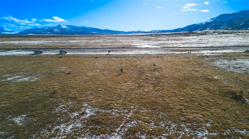 Sitio en venta 6600 m2 camino 4 en Natales
