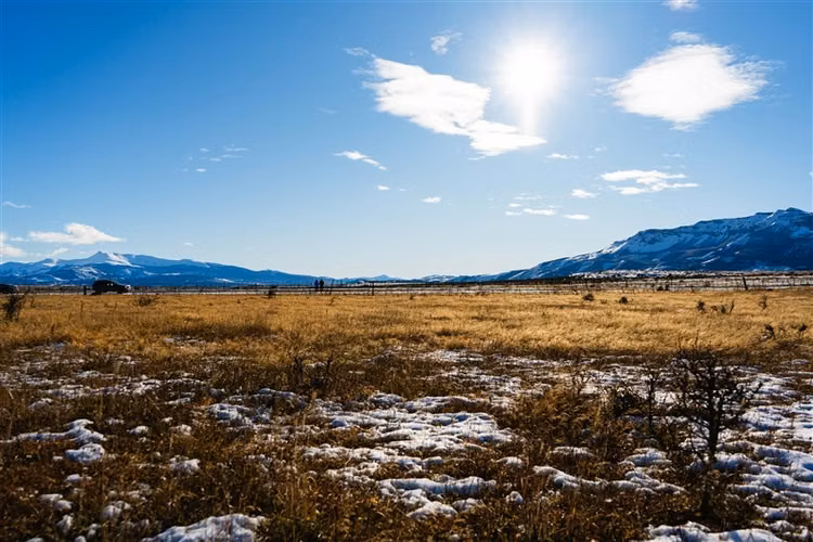 Sitio en venta 6600 m2 camino 4 en Natales