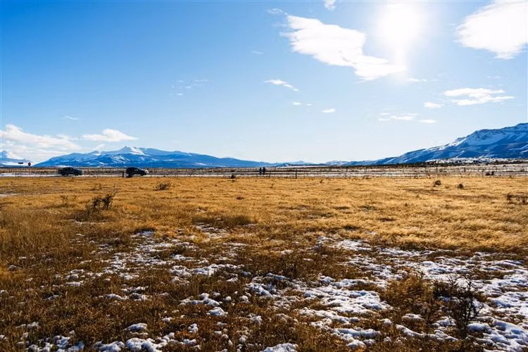 Sitio en venta 6600 m2 camino 4 en Natales