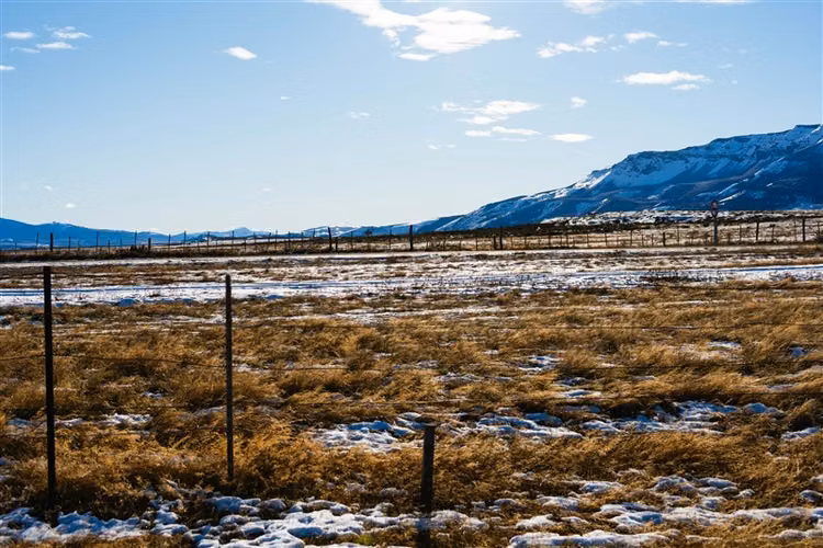 Sitio en venta 6600 m2 camino 4 en Natales