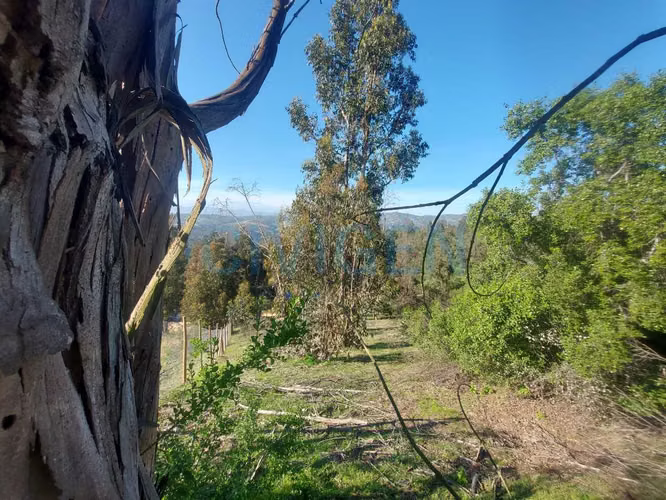 Parcela en Los Aromos1 rol propio (177729)