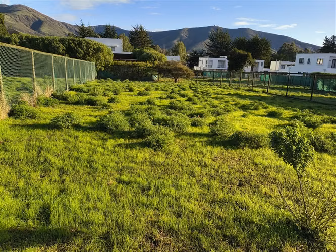 Terreno en venta en Papudo, Punta Puyai a 3 cuadras de playa