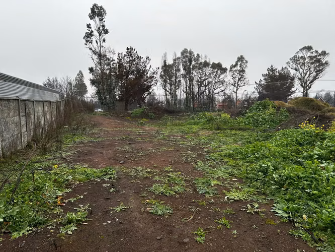 TERRENO 2.000 M2, EN PUNTA PARRA, TOMÉ